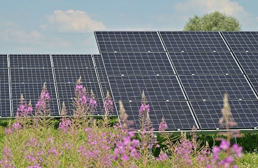 Solar panels at an angle in a field