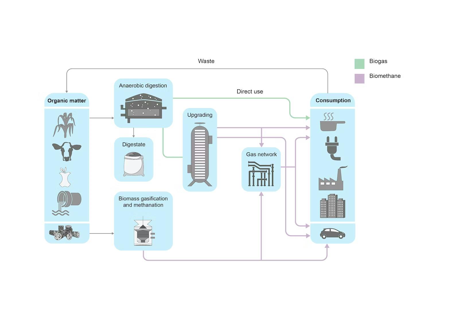 Multiple production pathways for biogas and biomethane