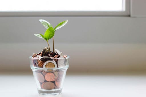 A glass full of pennies with a plant growing upwards, out of the glass