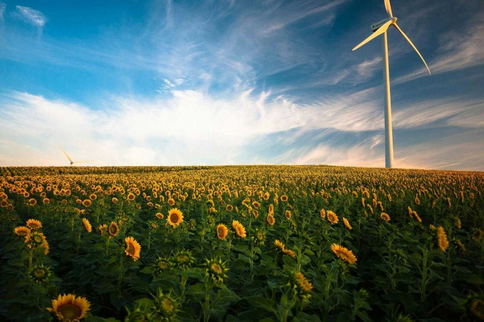 Wind turbines as part of Italy’s ever growing renewable energy landscape